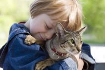 macka-veseli-clan-porodice