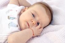 crveni koncic_665107066