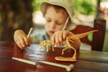 dinosaurusi_336124859