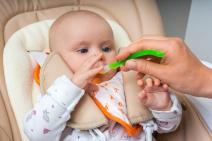 uvodjenje cvrste hrane_499848487.jpg