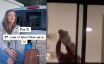 Kampovali ispred porodilišta