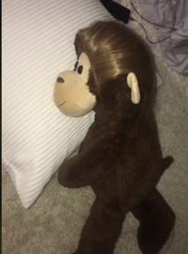 majmun sa perikom.jpg