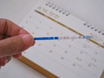 Test traka, ovulacija