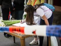 vladislav ribnikar knjiga žalosti.jpeg