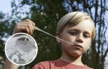 Zasto ne treba da gutate zvake.