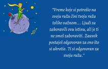 Mali Princ citati (7).jpg