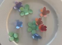 Screenshot 2023-07-24 161929.jpg