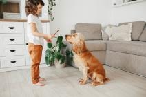 shutterstock_1728453835.jpg