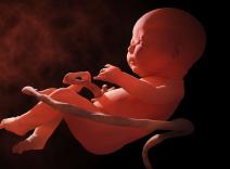 22 stvari o bebi koje niste znali.