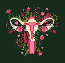 Ciste jajnika u trudnoći