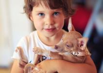 Dete muči i zlostavlja životinje.