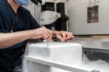 Kako izgleda procedura zamrzavanje jajnih ćelija