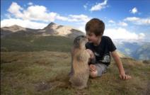 prijateljstvo-izmedju-decaka-i-mrmota