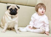 10-rasa-pasa-pogodnih-za-decu