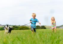 10-rasa-pasa-pogodnih-za-decu