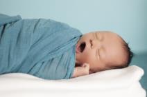 bebe-ta-divna-mala-stvorenja