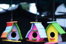 pticicama-s-ljubavlju