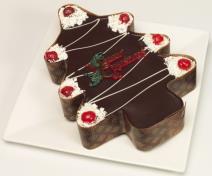 torte-u-duhu-zimskih-praznika