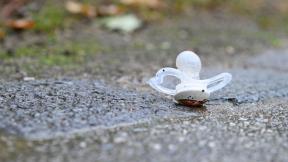 Pranje i dezinfekcija cucli