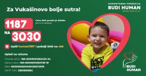 Budi human