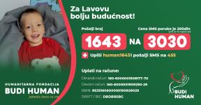 Budi human