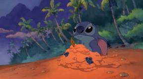 stitch.jpg