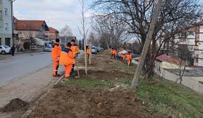 U Nišu posađeno 25 stabala lišćara u okviru projekta Zasadi drvo