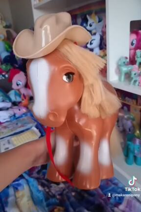 poni0003.jpg