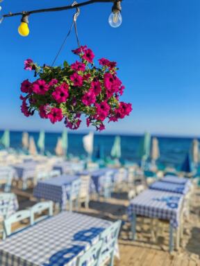 Pefkohori plaža