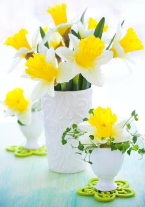 srecan-8-mart