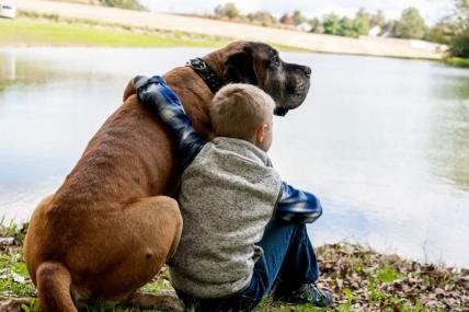 Dečak (6) objasnio zašto psi kraće žive od ljudi