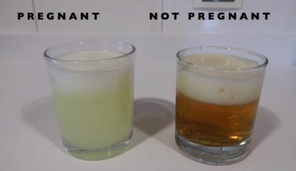 Test trudnoće