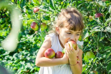 Devojčica jede jabuke