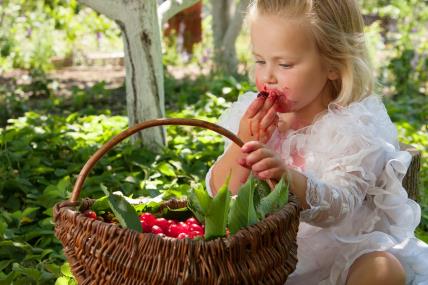 devojčica jede trešnje.jpg