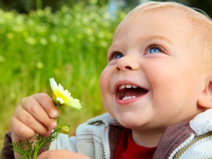 Dečak, dete, cveće, proleće