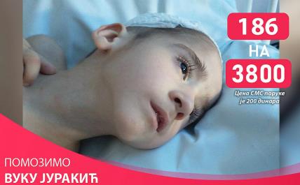 Pomozimo Vuku da ponovo prohoda.jpg