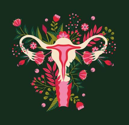 Ciste jajnika u trudnoći