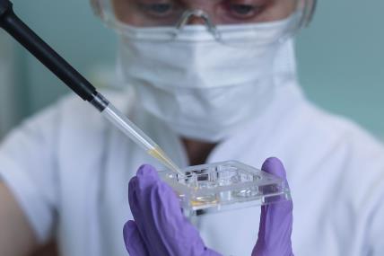 Da li boli aspiracija vantelesna oplodnja.