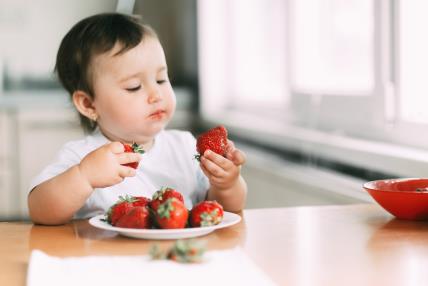 uvođenje jagoda u ishranu.jpg