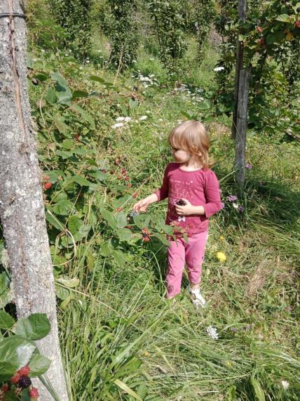 Samohrana mama četvoro dece koja se ne libi ni šumskih radova