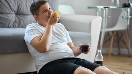 Gojazna deca najčešće odrastaju uz gojazne odrasle.jpg
