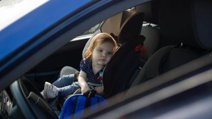 Deca u kolima mogu da dožive toplotni udar za par minuta.jpg