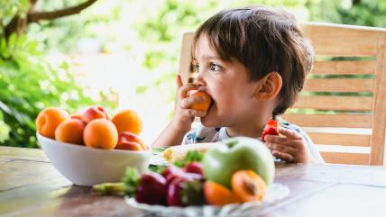 Saveti nutricioniste za ishranu dece leti