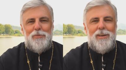 Vladika Grigorije o porodicama bez dece