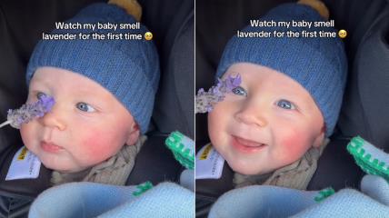 Beba miriše lavandu