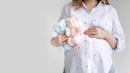 Trudnica sa plavom i roze plišanom igračkom