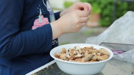 Dete ljušti kikiriki