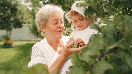 Baka sa unukom pored drveta u bašti