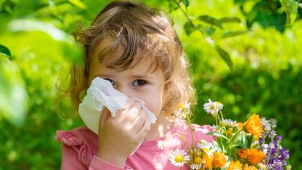 Devojčica sa alergijom drži cveće u ruci i briše nos