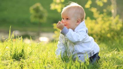 Dete na travi